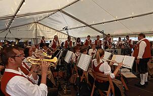 Mehrere Vereine und Bands sorgen auf dem Reichenauer Wein- und Fischerfest für Stimmung.