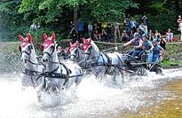 Sie sorgten traditionell f&uuml;r das gr&ouml;&szlig;te Spektakel beim Reitturnier im Schlosspark: die Gro&szlig;pferde-Viersp&auml;nner im Samstagsprogramm.