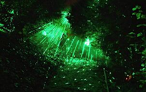 Laserwald.